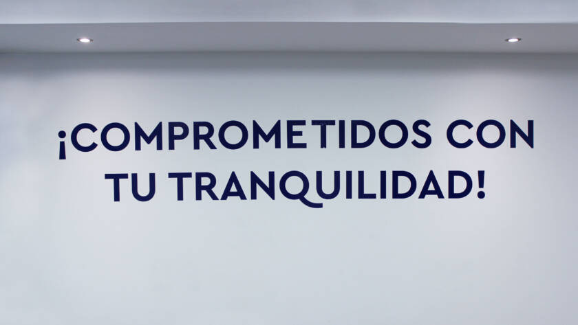fsfsdfs